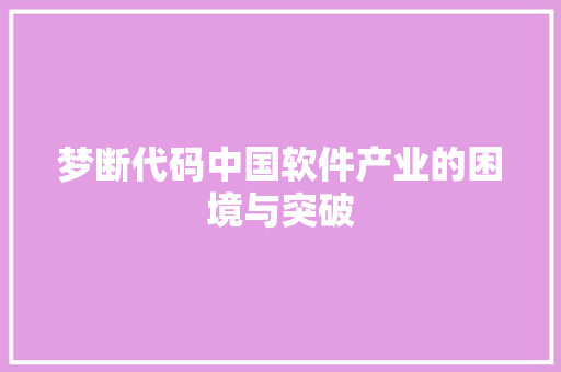 梦断代码中国软件产业的困境与突破