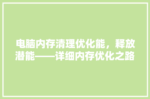 电脑内存清理优化能，释放潜能——详细内存优化之路