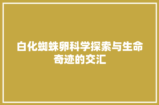 白化蜘蛛卵科学探索与生命奇迹的交汇  第1张