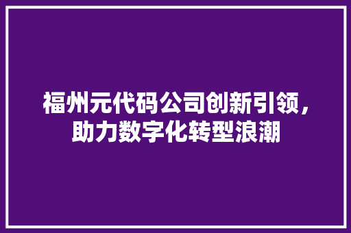 福州元代码公司创新引领，助力数字化转型浪潮