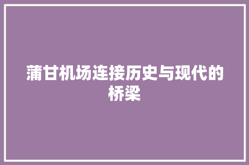 蒲甘机场连接历史与现代的桥梁