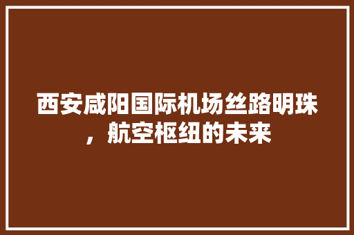 西安咸阳国际机场丝路明珠，航空枢纽的未来