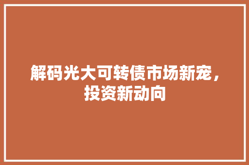 解码光大可转债市场新宠，投资新动向  第1张