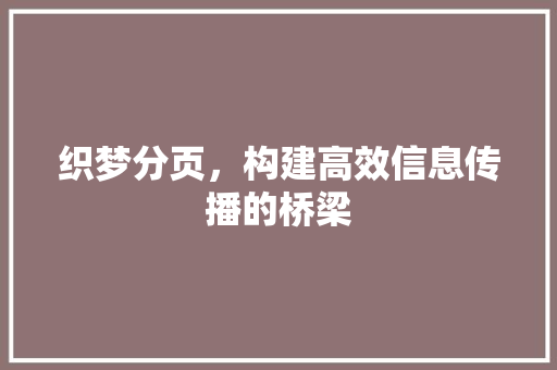 织梦分页，构建高效信息传播的桥梁