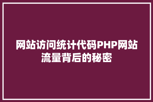 网站访问统计代码PHP网站流量背后的秘密