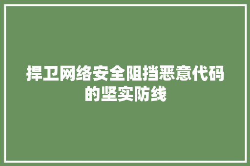 捍卫网络安全阻挡恶意代码的坚实防线