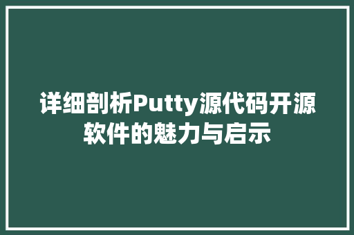 详细剖析Putty源代码开源软件的魅力与启示