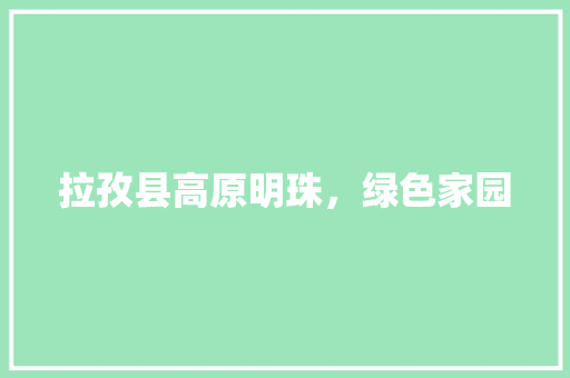 拉孜县高原明珠，绿色家园