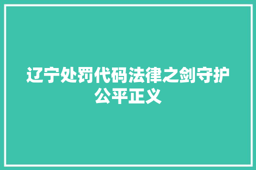 辽宁处罚代码法律之剑守护公平正义
