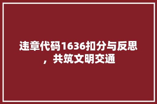 违章代码1636扣分与反思，共筑文明交通