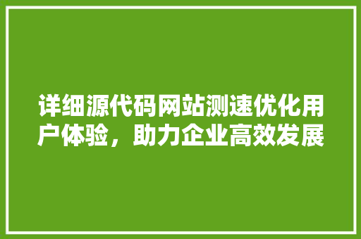 详细源代码网站测速优化用户体验，助力企业高效发展