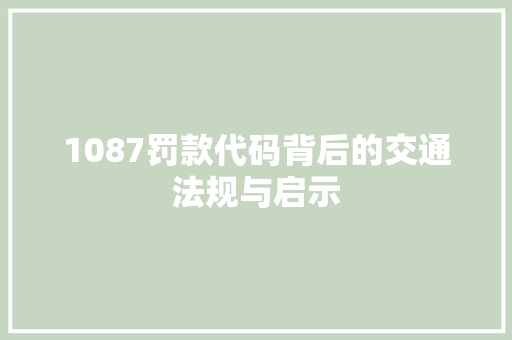 1087罚款代码背后的交通法规与启示  第1张