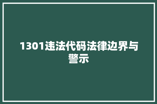 1301违法代码法律边界与警示
