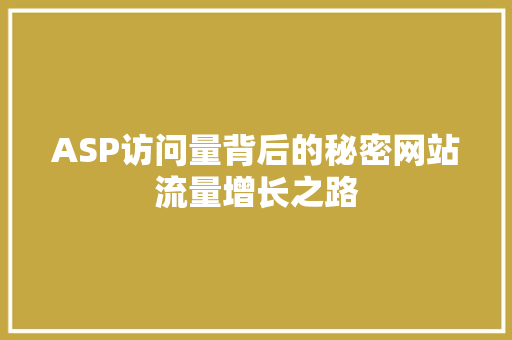 ASP访问量背后的秘密网站流量增长之路