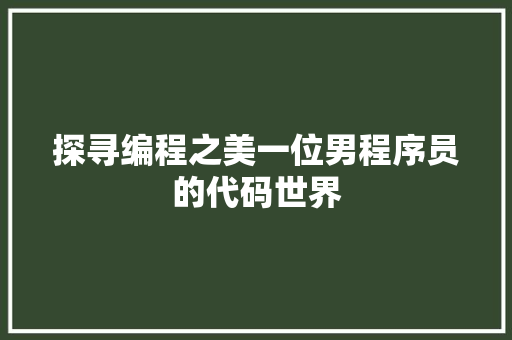 探寻编程之美一位男程序员的代码世界