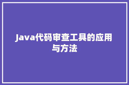Java代码审查工具的应用与方法