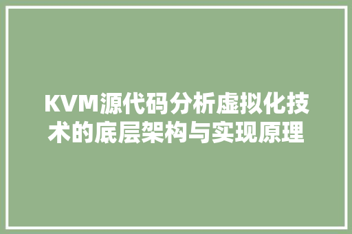 KVM源代码分析虚拟化技术的底层架构与实现原理