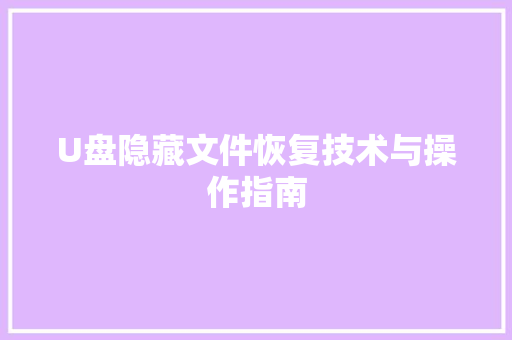 U盘隐藏文件恢复技术与操作指南