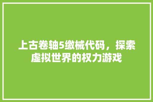 上古卷轴5缴械代码，探索虚拟世界的权力游戏