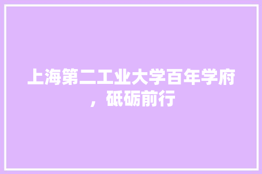 上海第二工业大学百年学府，砥砺前行