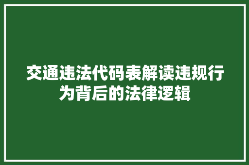 交通违法代码表解读违规行为背后的法律逻辑