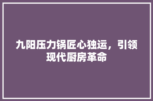 九阳压力锅匠心独运，引领现代厨房革命