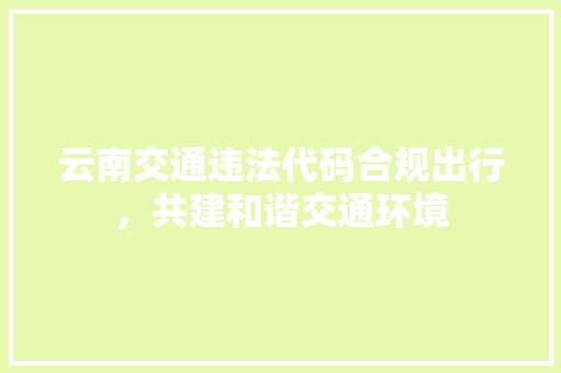 云南交通违法代码合规出行，共建和谐交通环境