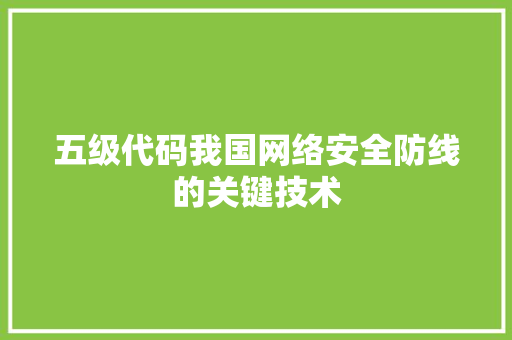 五级代码我国网络安全防线的关键技术