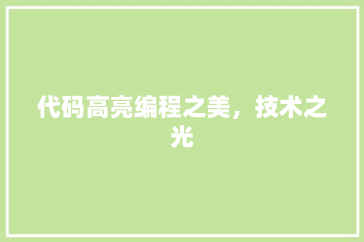 代码高亮编程之美，技术之光