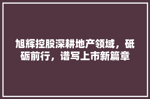旭辉控股深耕地产领域，砥砺前行，谱写上市新篇章