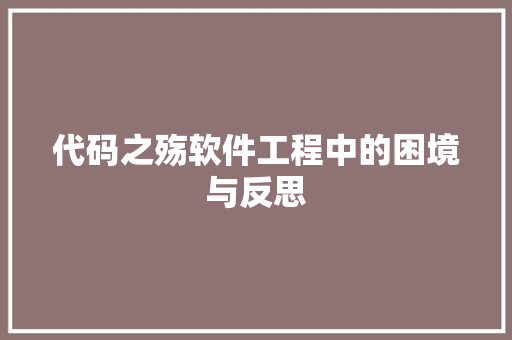 代码之殇软件工程中的困境与反思