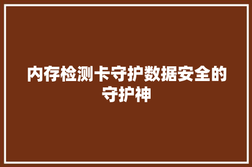 内存检测卡守护数据安全的守护神