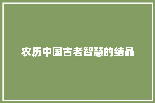 农历中国古老智慧的结晶
