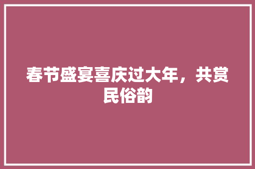 春节盛宴喜庆过大年，共赏民俗韵
