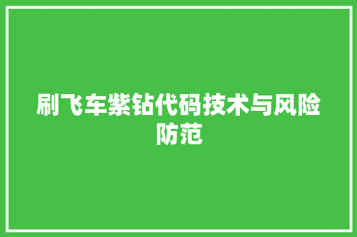 刷飞车紫钻代码技术与风险防范
