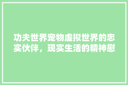 功夫世界宠物虚拟世界的忠实伙伴，现实生活的精神慰藉