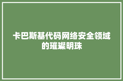 卡巴斯基代码网络安全领域的璀璨明珠