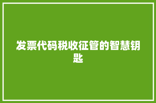 发票代码税收征管的智慧钥匙