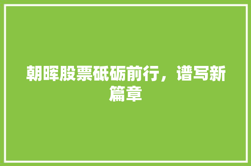 朝晖股票砥砺前行，谱写新篇章