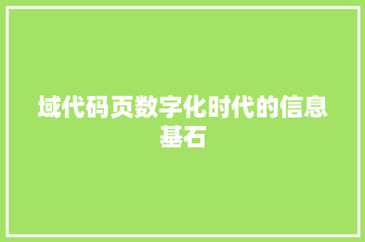 域代码页数字化时代的信息基石