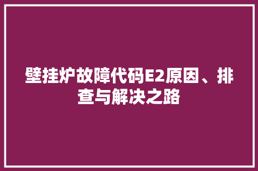 壁挂炉故障代码E2原因、排查与解决之路
