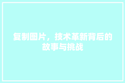 复制图片，技术革新背后的故事与挑战