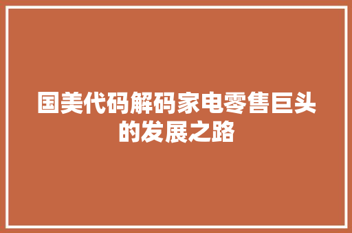 国美代码解码家电零售巨头的发展之路