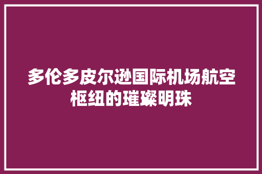 多伦多皮尔逊国际机场航空枢纽的璀璨明珠