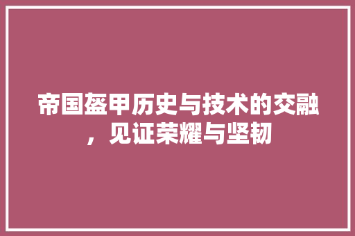 帝国盔甲历史与技术的交融，见证荣耀与坚韧