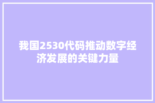 我国2530代码推动数字经济发展的关键力量