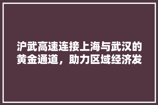 沪武高速连接上海与武汉的黄金通道，助力区域经济发展