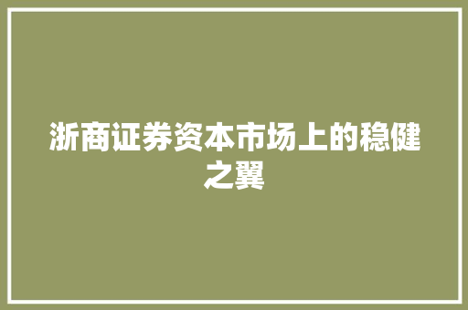 浙商证券资本市场上的稳健之翼