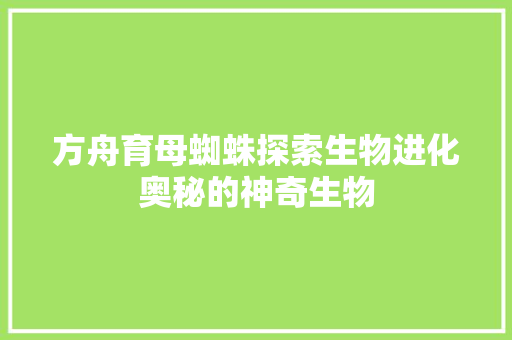 方舟育母蜘蛛探索生物进化奥秘的神奇生物