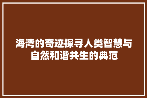 海湾的奇迹探寻人类智慧与自然和谐共生的典范